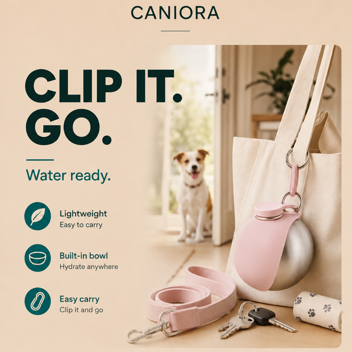 Portable Water Bottle
