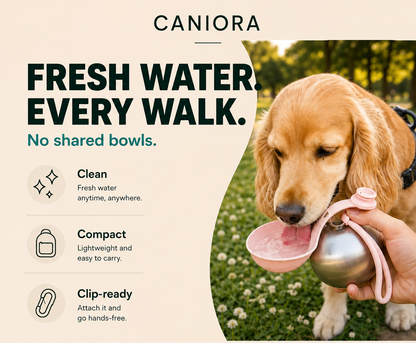 Portable Water Bottle