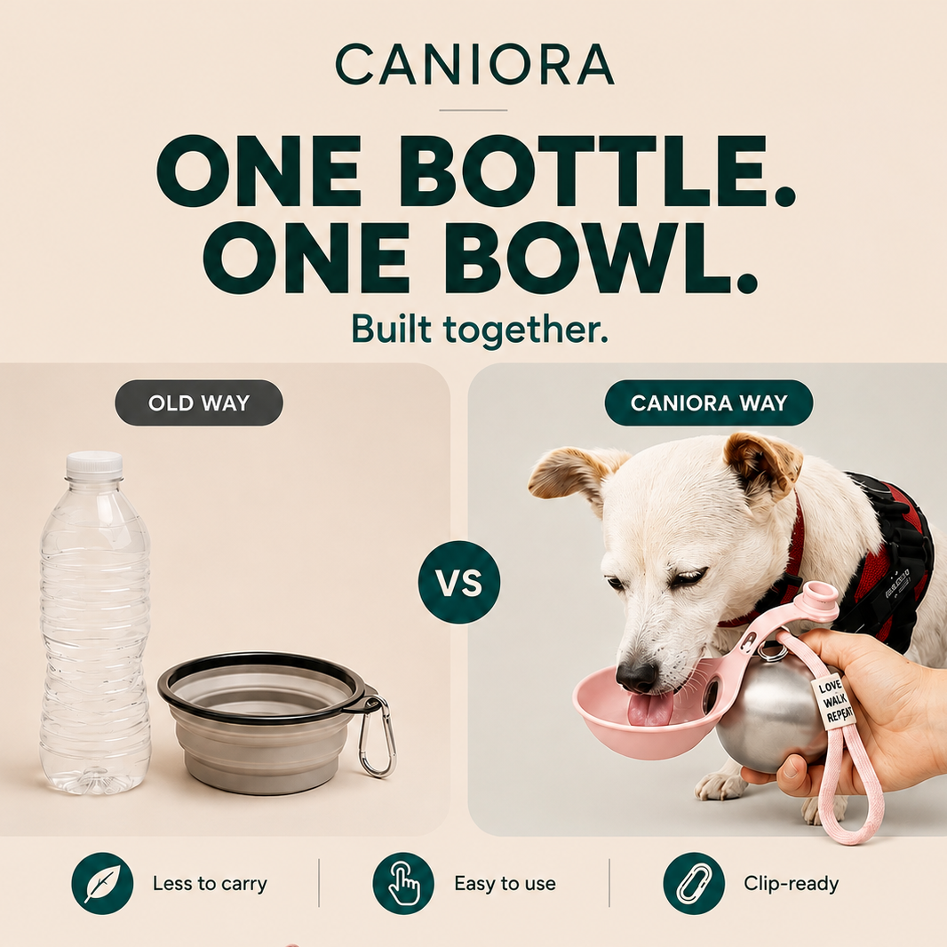 Portable Water Bottle