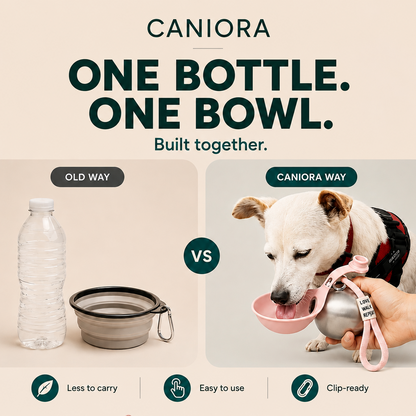 Portable Water Bottle